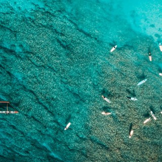 Crociere MSC: la scelta giusta per un viaggio indimenticabile