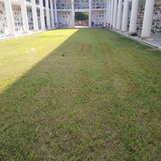 Albenga, iniziati i lavori di manutenzione ordinaria del cimitero di Leca