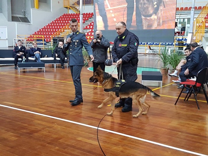 Alassio, prosegue con successo il progetto di sensibilizzazione giovanile "Sulla strada giusta" (FOTO e VIDEO) Alassio, prosegue con successo il progetto di sensibilizzazione giovanile "Sulla strada giusta" (FOTO e VIDEO)