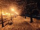 Allerta neve disattesa su tutta la regione: come sempre sui 'social' si scatena l'azione denigratoria