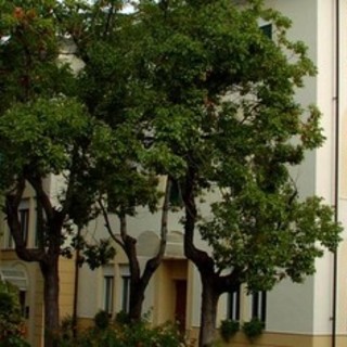 Ex Centro Varaldo, il no della politica all'accoglienza dei migranti. L'ex assessore Santi: "Non si può mettere in una zona residenziale" Ex Centro Varaldo, il no della politica all'accoglienza dei migranti. L'ex assessore Santi: "Non si può mettere in una zona residenziale"