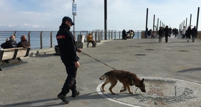 Alassio, controlli dei carabinieri con i cani del nucleo cinofili di Villanova d'Albenga (FOTO)