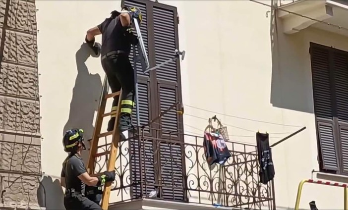 Cane lasciato al sole sul balcone salvato dall'intervento dei vigili del fuoco