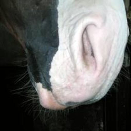 Regione: conflitti d’interesse. Approvato ODG di SEL per criteri trasparenti e rigorosi in materia di nomine Regione: conflitti d’interesse. Approvato ODG di SEL per criteri trasparenti e rigorosi in materia di nomine