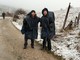 I ponentini si moltiplicano nell'inverno sul Cammino di Santiago I ponentini si moltiplicano nell'inverno sul Cammino di Santiago