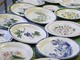 Savona: gli artisti della ceramica il 21 febbraio al Palazzo Comunale