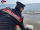 Savona, i carabinieri trovano un chilogrammo di cocaina sulla spiaggia Savona, i carabinieri trovano un chilogrammo di cocaina sulla spiaggia
