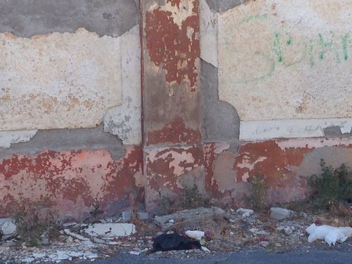 Albenga, allarme sicurezza e degrado alla Caserma Piave Albenga, allarme sicurezza e degrado alla Caserma Piave