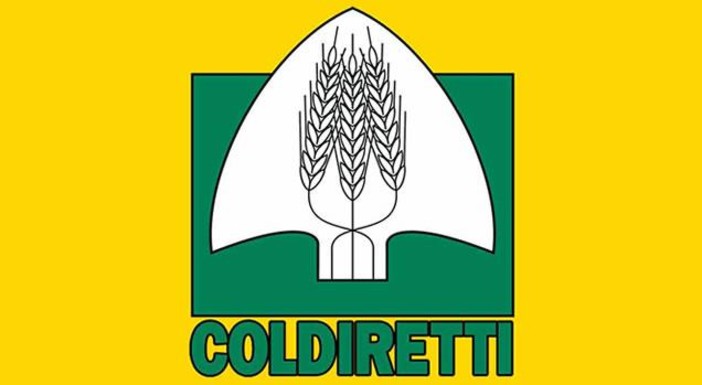 Coldiretti Liguria, piogge dimezzate rispetto al 2016: in forte difficoltà coltivazioni e allevamenti