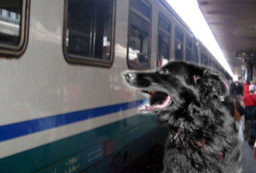 "Il cane sul treno non può viaggiare? Noi dell'Enpa valuteremo alcune ipotesi di reato"