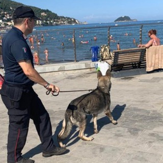 immagine di repertorio