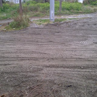 Ad Albenga ripulita la foce del fiume Centa, Cangiano:"Primo passo verso la riqualificazione"