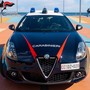 Chiede aiuto per la scomparsa di alcuni gatti, ma su di lei pende un mandato internazionale: arrestata Chiede aiuto per la scomparsa di alcuni gatti, ma su di lei pende un mandato internazionale: arrestata