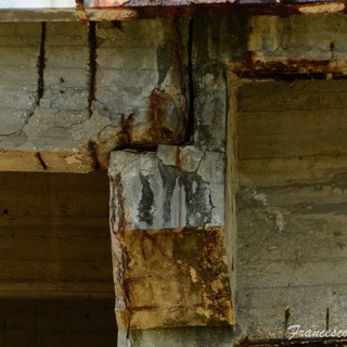 foto realizzate e concesse da Francesco Demarziani