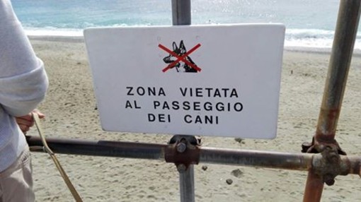 Divieto di accesso ai cani al Prolungamento, l'Enpa si scusa