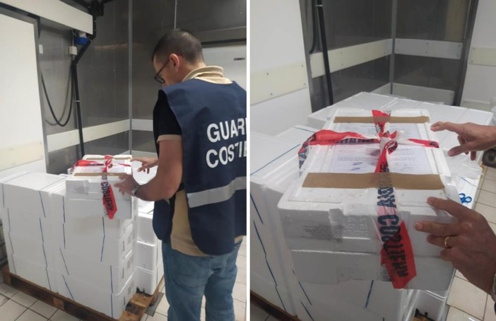 Controlli della Guardia Costiera di Savona: nel torinese multa da diecimila euro per prodotti ittici decongelati e scaduti Controlli della Guardia Costiera di Savona: nel torinese multa da diecimila euro per prodotti ittici decongelati e scaduti