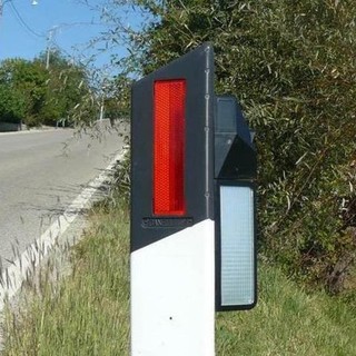 Incidenti con la fauna selvatica, OSA: "Esistono sistemi per evitarli: i Comuni li installino"