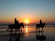 Una domenica tra i cavalli sulla spiaggia a Borghetto Santo Spirito