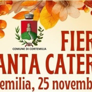 A Cortemilia torna l'appuntamento annuale con la Fiera di Santa Caterina A Cortemilia torna l'appuntamento annuale con la Fiera di Santa Caterina