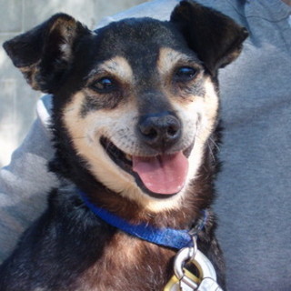 Varazze: domani la terza edizione di "Cagnara"