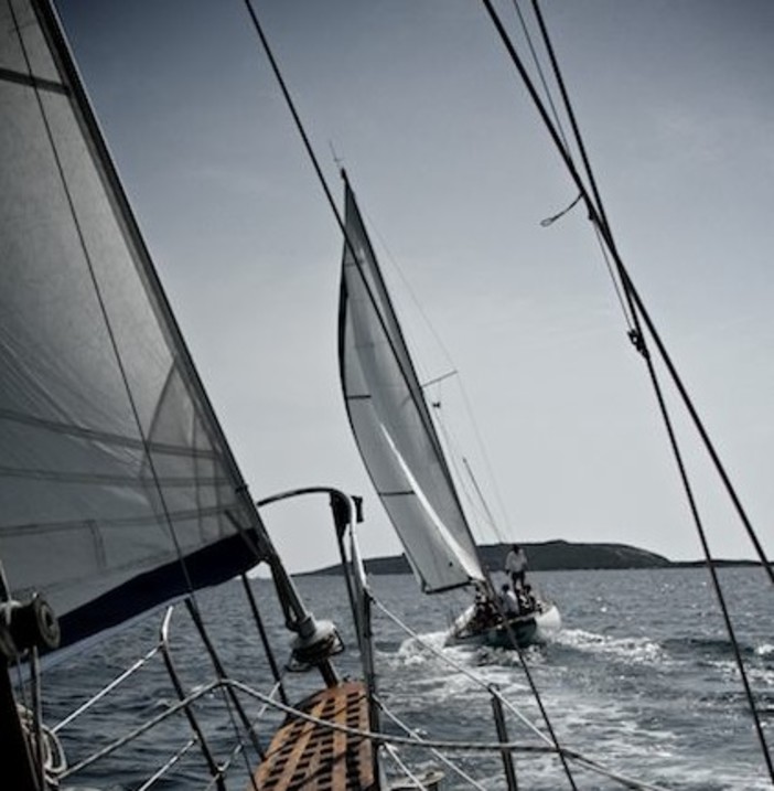 Vela e natura, ad Andora e Albenga un lungo weekend di Sail4Parkinson