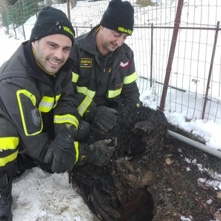 La foto dopo l'intervento di salvataggio