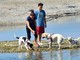 Al mare con Fido a Vadino d'Albenga