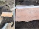 Sassello, carcassa di cinghiale a bordo strada: il cartello choc &quot;Negativo PSA - Positivo Piombo&quot; (FOTO e VIDEO)