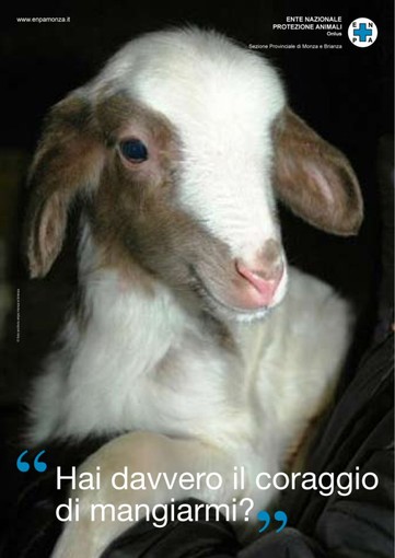 L'appello dell'Enpa: "Fermiamo la strage degli agnelli a Pasqua"