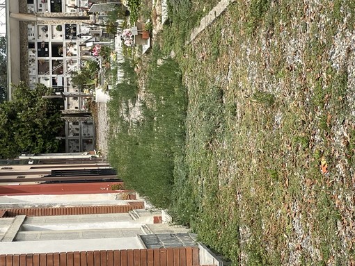 Roberto Tomatis (FdI): “Con il Partito Democratico al governo di Albenga non si può più morire in pace” Roberto Tomatis (FdI): “Con il Partito Democratico al governo di Albenga non si può più morire in pace”