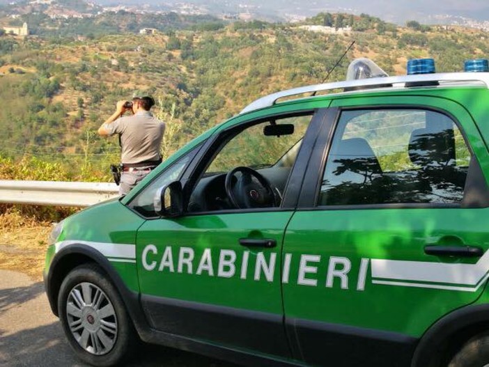 Rifiuti abbandonati a Savona, intervengono i Carabinieri della stazione Forestale Rifiuti abbandonati a Savona, intervengono i Carabinieri della stazione Forestale