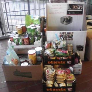 A Loano sabato e domenica raccolta alimentare in favore degli ospiti del canile di Finale