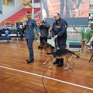 Alassio, prosegue con successo il progetto di sensibilizzazione giovanile "Sulla strada giusta" (FOTO e VIDEO)