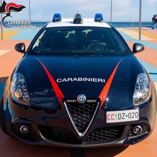 Chiede aiuto per la scomparsa di alcuni gatti, ma su di lei pende un mandato internazionale: arrestata
