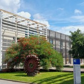 Savona, conti fermi, contratti in scadenza: l’ansia degli studenti iraniani del Campus di Legino Savona, conti fermi, contratti in scadenza: l’ansia degli studenti iraniani del Campus di Legino