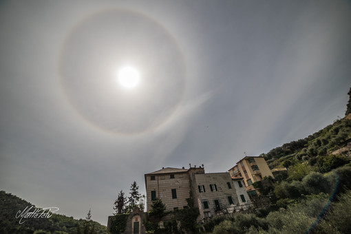 Foto scattata da Matteo Pelucchi Foto scattata da Matteo Pelucchi