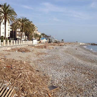 Elezione Albenga, "Con Cangiano possiamo... pulire la spiaggia del cugino?", Ciangherotti all'attacco del candidato sindaco di sinistra