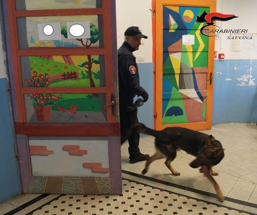 Albenga, controlli antidroga al liceo "Bruno": sequestrati 5 grammi di hashish (FOTO)