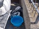 Savona, trovato in via Tissoni un cane: l'appello sui social Savona, trovato in via Tissoni un cane: l'appello sui social