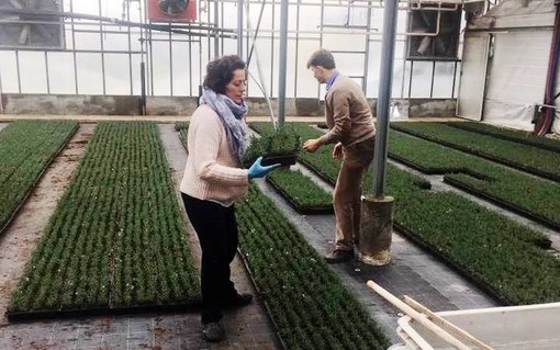 Ceriale, convenzione per l’inserimento lavorativo di persone disabili Ceriale, convenzione per l’inserimento lavorativo di persone disabili