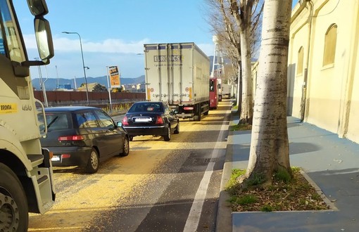 Savona, camion perde il carico di mais sulla carreggiata: mobilitati i vigili del fuoco (FOTO) Savona, camion perde il carico di mais sulla carreggiata: mobilitati i vigili del fuoco (FOTO)