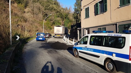 Camion perde carbone sulla Sp 29: disagi alla viabilità (FOTO)