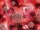 L'allarme di Uecoop Liguria: "Sette contagi su dieci sono nel comparto sanità e Rsa" L'allarme di Uecoop Liguria: "Sette contagi su dieci sono nel comparto sanità e Rsa"