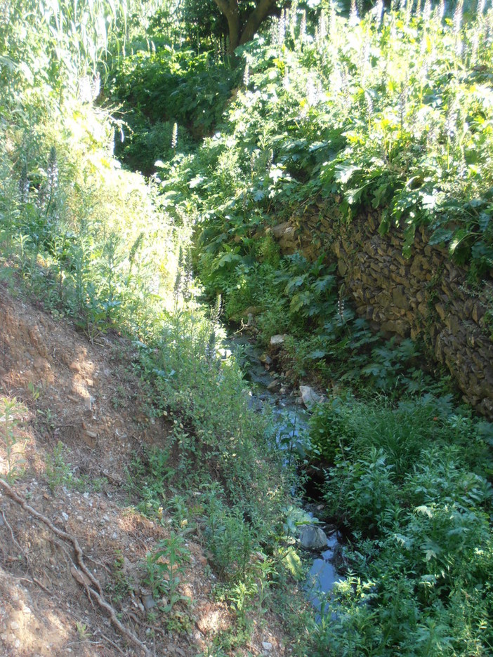 Alassio, gli interventi di pulizia di rii e torrenti proseguono con il rio Castello Alassio, gli interventi di pulizia di rii e torrenti proseguono con il rio Castello