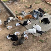 Immagine di repertorio