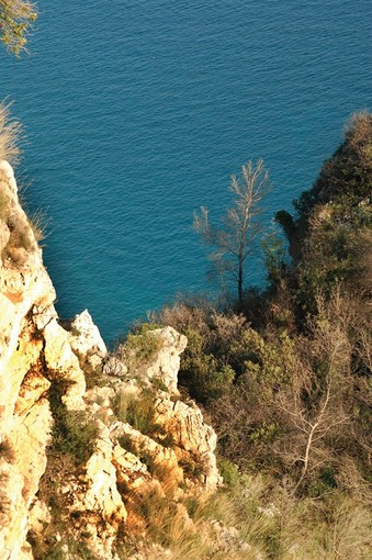 Domenica escursione a Capo Noli Domenica escursione a Capo Noli