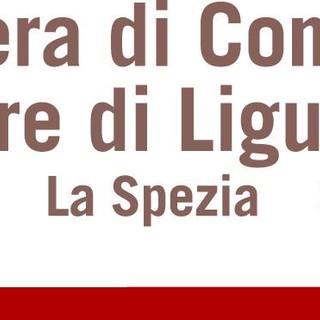 Alla CCIAA Riviere di Liguria  torna in pista "Eccellenze in digitale"