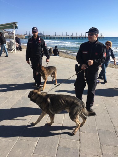 Alassio, carabinieri tra la gente, continuano i serrati controlli. All'opera l'unità cinofila