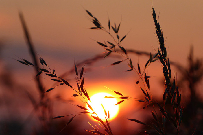 Meteo, a piccoli passi verso un cambio di circolazione