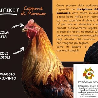 Il “Cappone di Morozzo” - Primo Presidio Slow Food da 15 anni è legato ad un eccellenza gastronomica del cuneese